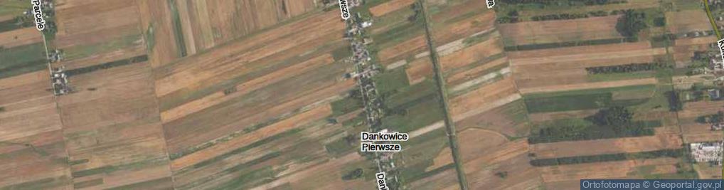 Zdjęcie satelitarne Dankowice Pierwsze ul.